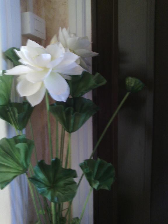 Ostiense Guest House Ρώμη Εξωτερικό φωτογραφία